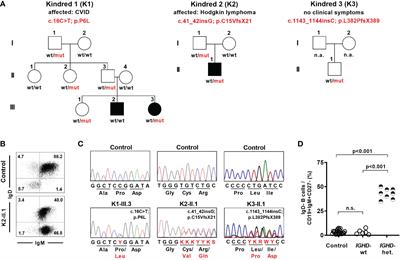 IgD shapes the pre-immune naïve B cell compartment in humans